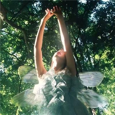 锈骨为凭乖乖入局